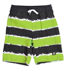 Honduras Shorts Lime