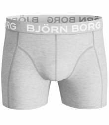 2-Pack Shorts Boxerkalsong Hawaiian Ocean Herr Björn Borg 2