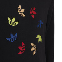 Adidas-Adicolor-Hoddie-Junior-Svart-3