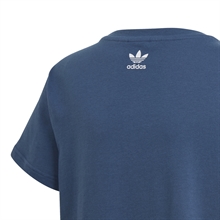 Adidas Big Trefoil T-shirt Junior Marin  (3)