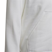 Adidas Entrada 22 Hoddie Junior Vit