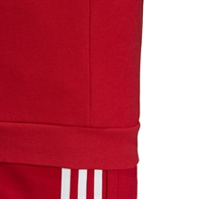 Adidas Trefoil Crew Sweatshirt Junior Röd  (2)