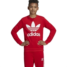 Adidas Trefoil Crew Sweatshirt Junior Röd  (3)