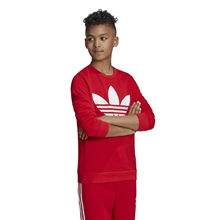 Adidas Trefoil Crew Sweatshirt Junior Röd  (4)