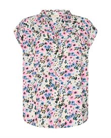 Freequent Dut Blus Dam Begonia Pink Mix