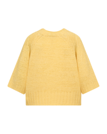 Freequent-Tapper-Pullover-Dam-Golden-Haze-4