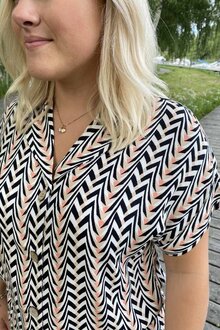 Freequent-Teka-SH-Blus-Dam-Fresh-Salmon-Mix-11