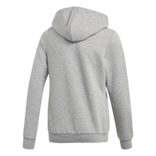 Linear Full-Zip Hoodie Grå Junior baksida