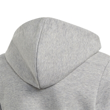 Linear Full-Zip Hoodie Grå Junior huva