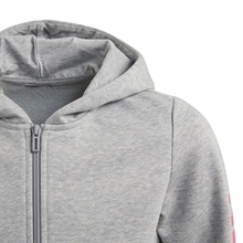 Linear Full-Zip Hoodie Grå Junior zipper