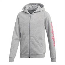 Linear Full-Zip Hoodie Grå Junior